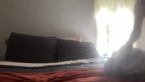 playfulpork online show from 04-17-26, 09:18