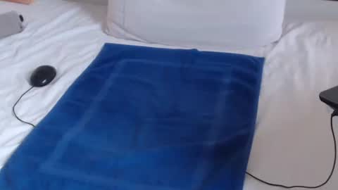 Snapshot of playuall chatting on 12-19-24, 11:29 Steve online show from 12-19-24, 11:29