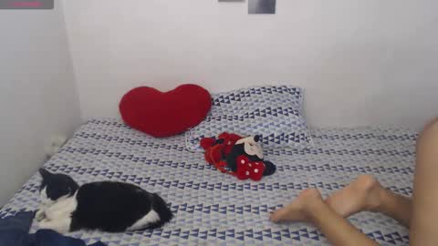 Pocahontas online show from 02-04-26, 06:47