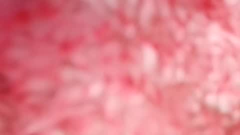 Snapshot of pocahontasdoll95 chatting on 05-14-26, 07:53 pocahontasdoll95 online show from 05-14-26, 07:53