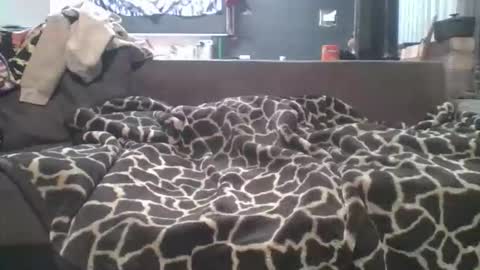 pokerfffface79 online show from 03-27-26, 06:41