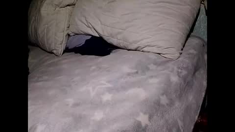 Snapshot of pollachico chatting on 11-28-25, 08:06 pollachico online show from 11-28-25, 08:06