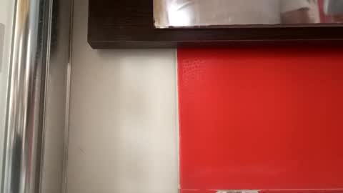 Snapshot of pollonmix chatting on 09-11-25, 10:59 pollonmix online show from 09-11-25, 10:59