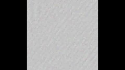 Polly online show from 02-04-26, 06:41