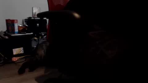 Snapshot of porkypork chatting on 09-09-25, 05:45 porkdaddy online show from 09-09-25, 05:45