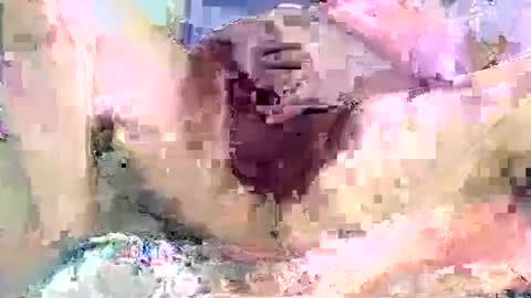 Snapshot of poundittt chatting on 09-14-25, 02:22 dikud0wn online show from 09-14-25, 02:22