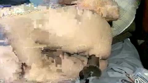 Snapshot of poundittt chatting on 09-23-25, 07:11 dikud0wn online show from 09-23-25, 07:11