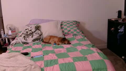 PAWG Pale Princess online show from 10-19-25, 06:03