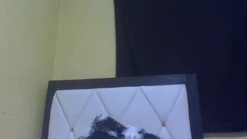 Snapshot of prekky chatting on 02-27-26, 07:14 lynn online show from 02-27-26, 07:14