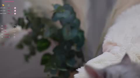 Elina online show from 03-11-25, 07:03