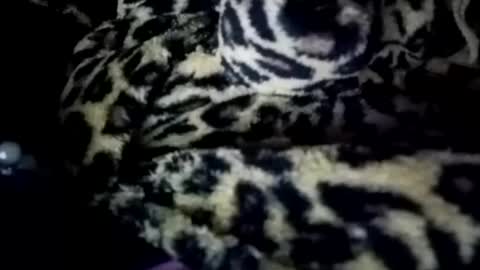 Snapshot of prettyimaa chatting on 01-21-25, 08:19 prettyma online show from 01-21-25, 08:19