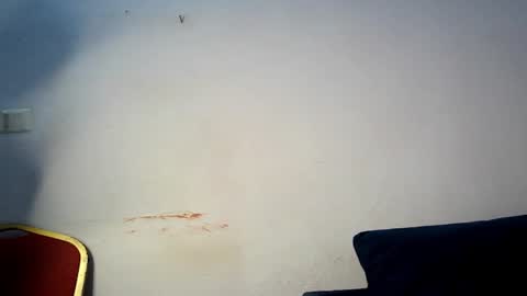 evelyn online show from 03-01-26, 06:04