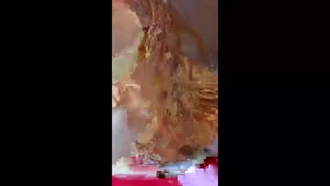 prettymoneychaser online show from 04-17-26, 08:12