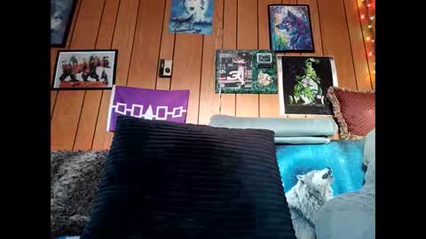 Snapshot of prettysolid7 chatting on 02-15-26, 12:58 prettysolid7 online show from 02-15-26, 12:58