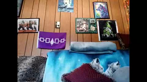 Snapshot of prettysolid7 chatting on 03-01-26, 04:31 prettysolid7 online show from 03-01-26, 04:31