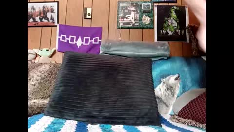 Snapshot of prettysolid7 chatting on 03-22-26, 02:20 prettysolid7 online show from 03-22-26, 02:20