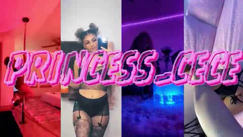 Snapshot of princess_cece chatting on 02-27-26, 09:04 Cece NEXT LIVESTREAM -- DEC. 4th 7 PM CST online show from 02-27-26, 09:04