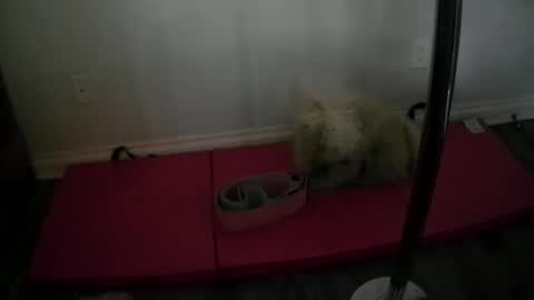 Snapshot of princesskimami chatting on 10-25-25, 12:40 princesskimami online show from 10-25-25, 12:40