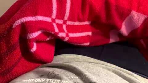 privat2025 online show from 02-01-26, 08:29