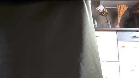 Snapshot of private_space chatting on 07-15-26, 11:15 Space online show from 07-15-26, 11:15