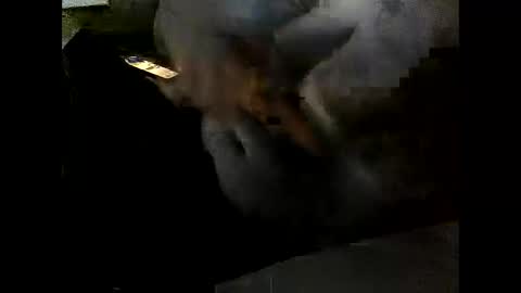 Snapshot of problm666 chatting on 12-02-25, 06:03 Clothingoptional online show from 12-02-25, 06:03