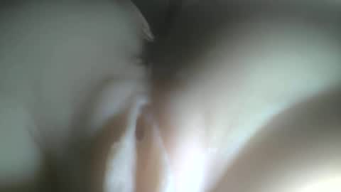 Snapshot of protecbuzz chatting on 02-03-26, 12:42 needtocum online show from 02-03-26, 12:42