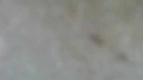 psachno online show from 11-10-25, 12:37