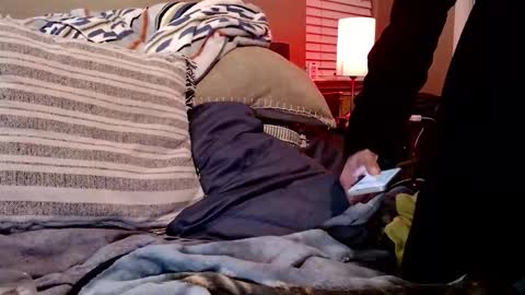 Sk8wave online show from 02-10-26, 07:56