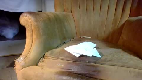 pspee313 online show from 02-28-26, 02:40