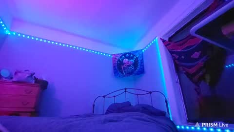 puddled_wonderland online show from 01-29-25, 05:40