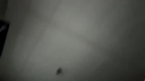 pufftropica online show from 01-07-26, 03:36