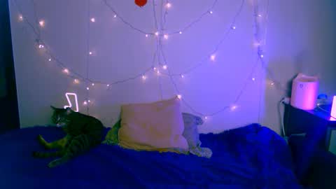 Snapshot of pufpufog chatting on 01-24-25, 05:53 EsteticHouse online show from 01-24-25, 05:53