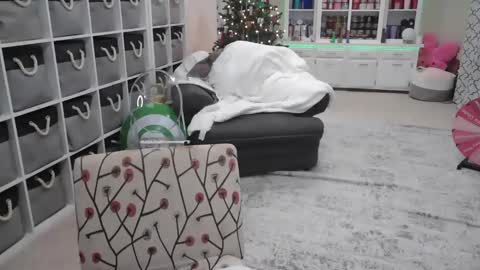 Puggie -  online show from 12-14-24, 11:01