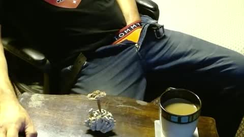 Jojo online show from 10-12-25, 12:31