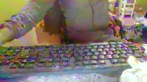 pup_y online show from 12-22-25, 06:49