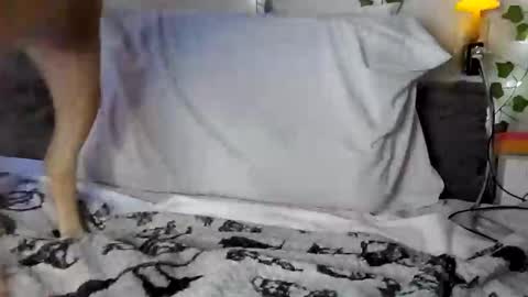 Snapshot of pupgender chatting on 02-02-25, 02:38 Rhys online show from 02-02-25, 02:38