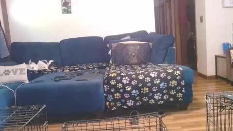 Mark online show from 10-01-25, 02:45