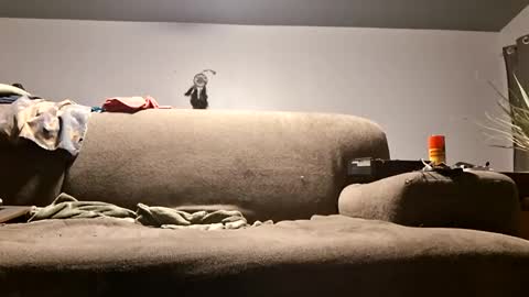 pussylicker517038 online show from 04-20-26, 10:07