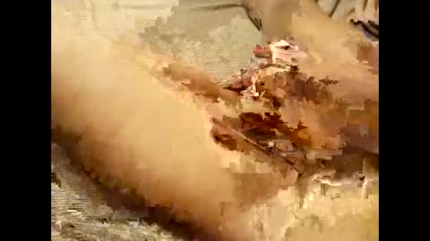 Snapshot of pussymoneyweed9125 chatting on 09-28-25, 07:52 Thick Pussy banger online show from 09-28-25, 07:52