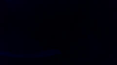 pyrichar31 online show from 07-16-26, 03:01