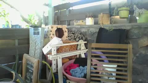 Python online show from 01-02-25, 02:33