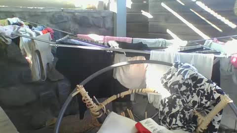 Python online show from 01-10-25, 02:57