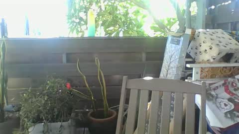 Python online show from 02-02-25, 04:05