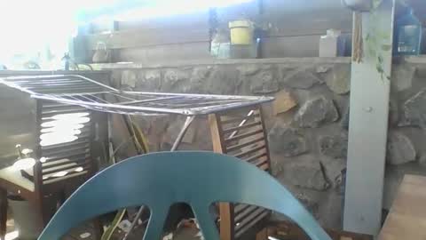 Python online show from 11-29-25, 04:04