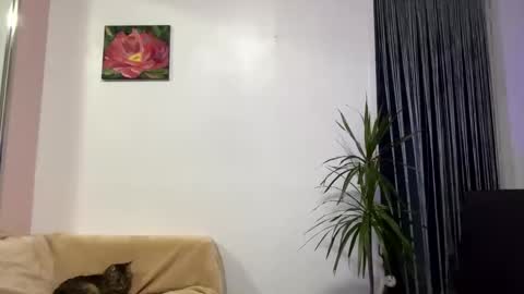 Viktoria online show from 01-28-25, 12:32