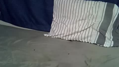 queen_polite online show from 02-22-26, 08:02