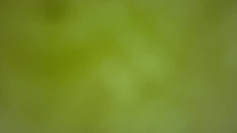 quinnxx online show from 02-22-26, 06:35