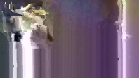 Snapshot of r04233054 chatting on 01-10-26, 08:16 r04233054 online show from 01-10-26, 08:16