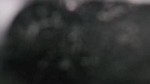 Snapshot of r9dima1998 chatting on 03-11-25, 07:58 Dmitry online show from 03-11-25, 07:58