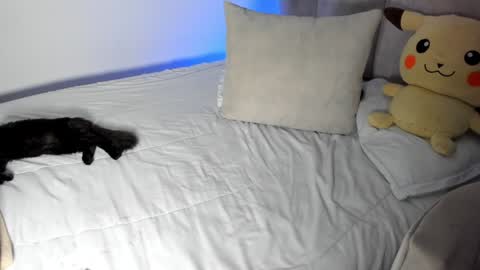 Snapshot of rachaeldeckard chatting on 01-28-25, 09:30 natalia - online show from 01-28-25, 09:30